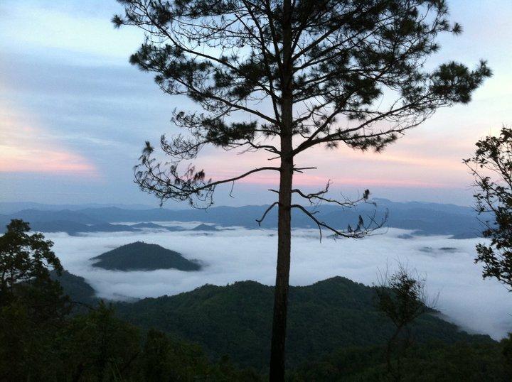 Phu Mork Dao Resort Pong Yaeng Extérieur photo